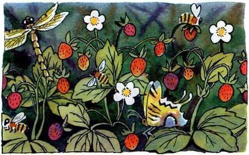 Дудочка и кувшинчик (сказка)