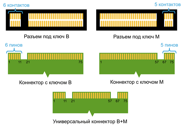 Подключение NVMe SSD: изучаем особенности стандарта M.2