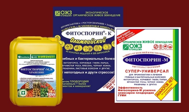 Лучшие инсектициды для сада и огорода
