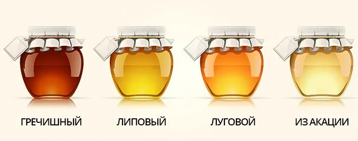 Как определить мёд — настоящий или нет Как определить мёд — настоящий или нет